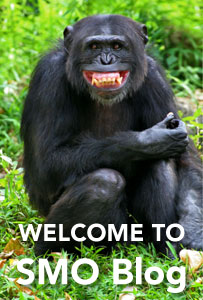 Welcome to the jungle!
